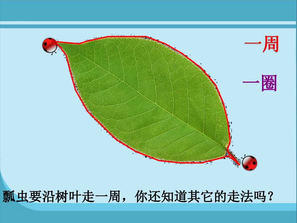 《认识周长》余海慈比赛123课件_第2页