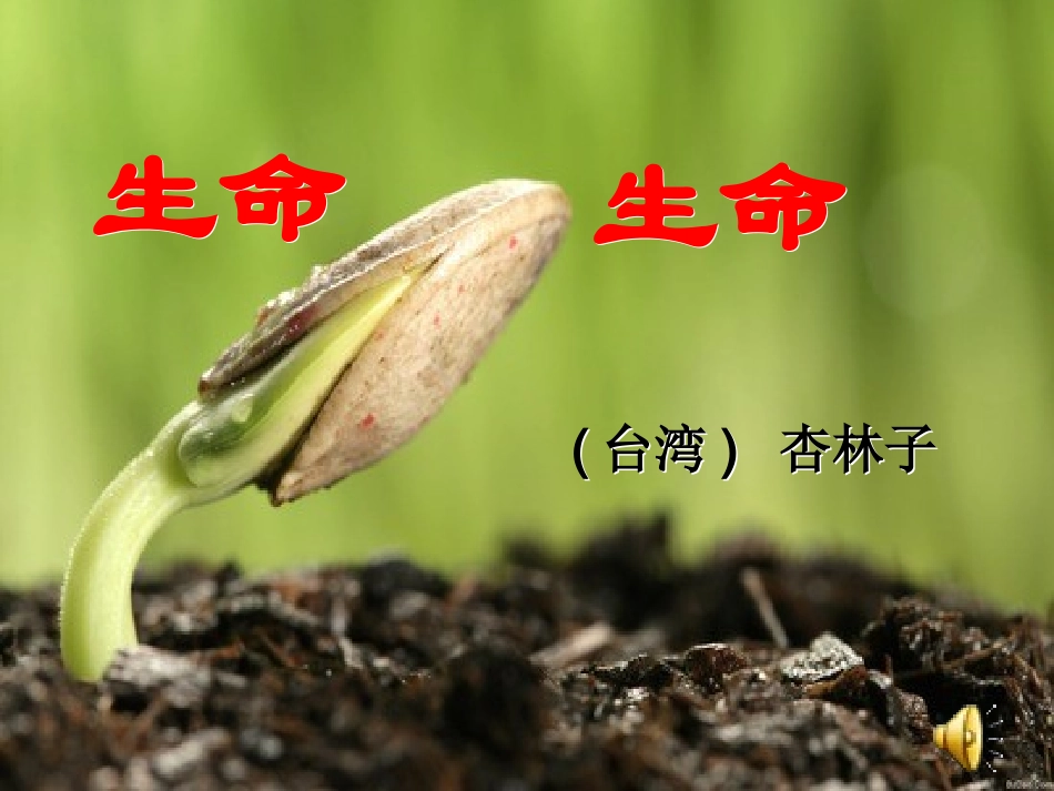 《生命生命》课件 (3)_第1页