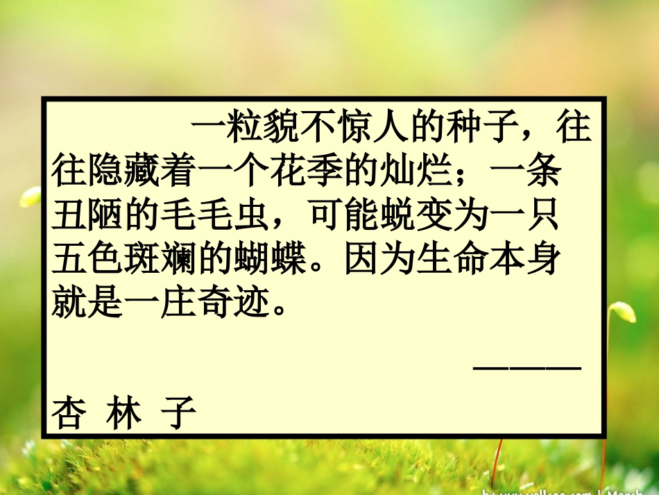 《生命生命》课件 (3)_第2页