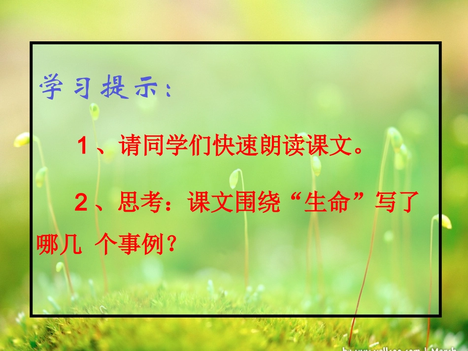 《生命生命》课件 (3)_第3页