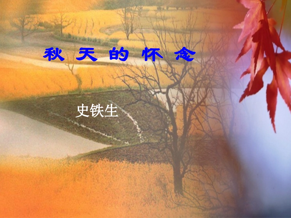 《秋天的怀念》优质课件_第1页