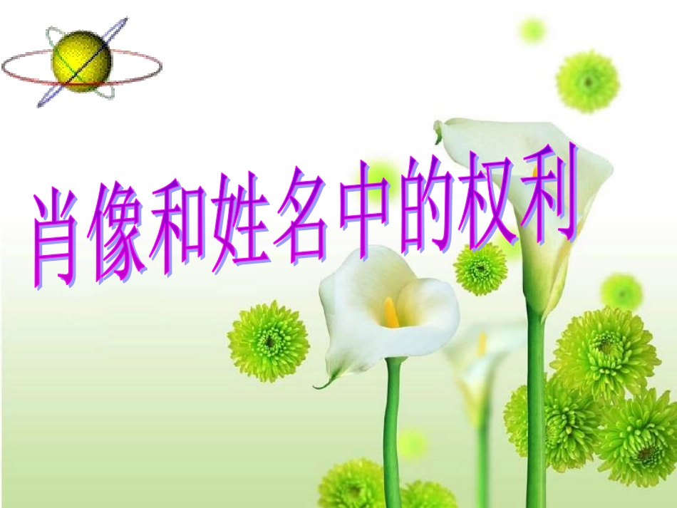 《肖像和姓名中的权利》PPT公开课课件[1]_第3页