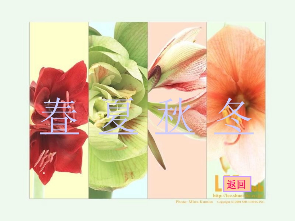 《综合性学习：轻叩诗歌的大门》之古诗与现代诗_第3页