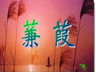 《蒹葭》的PPT