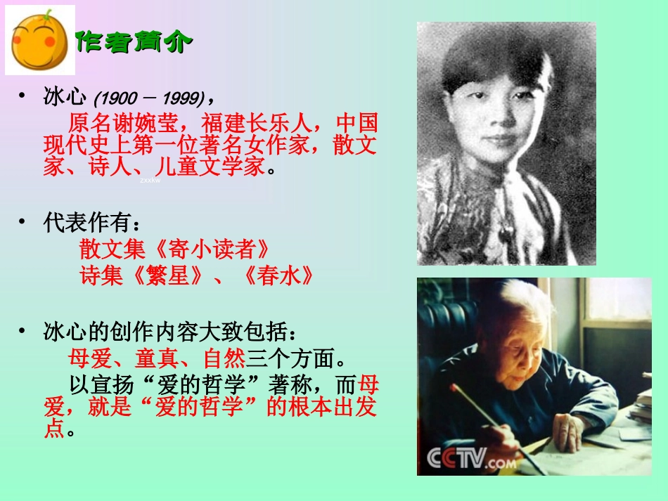 《荷叶母亲》课件11_第2页