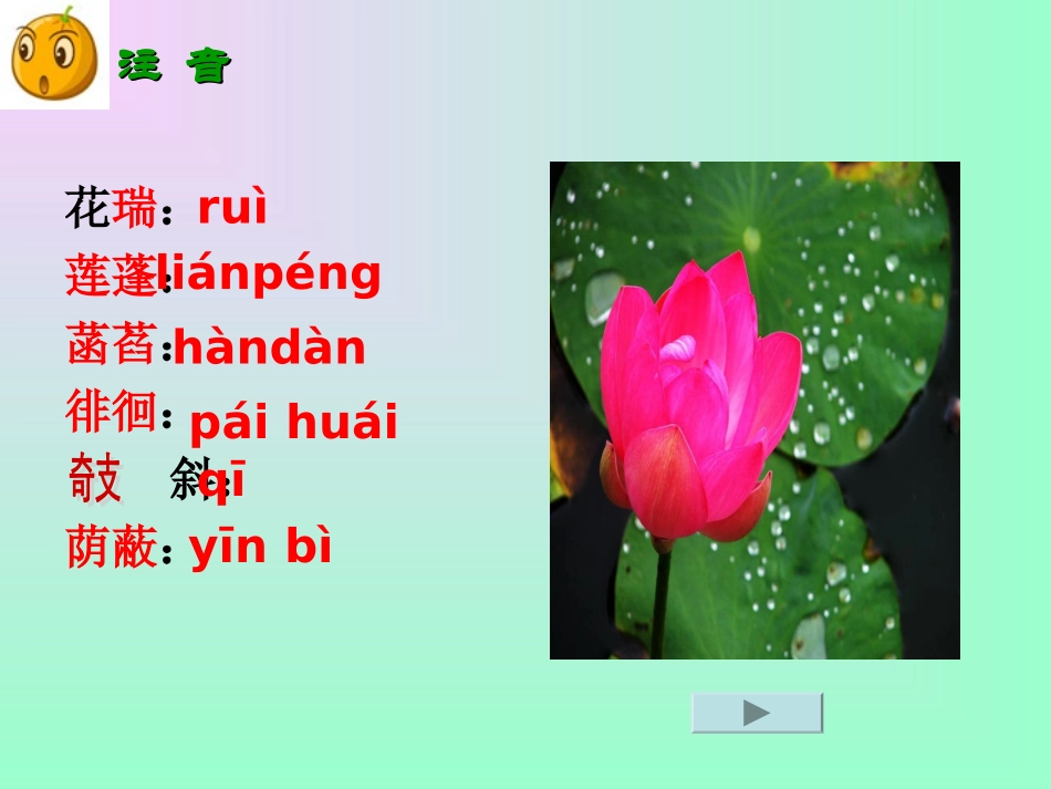 《荷叶母亲》课件11_第3页