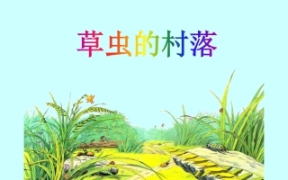 《草虫的村落》PPT