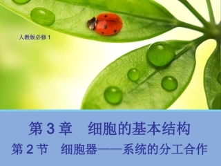 【生物】32细胞器系统内的分工合作课件1