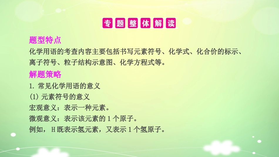 【PK中考】2017年中考化学（湖南专用）总复习课件：专题二+化学用语_第3页