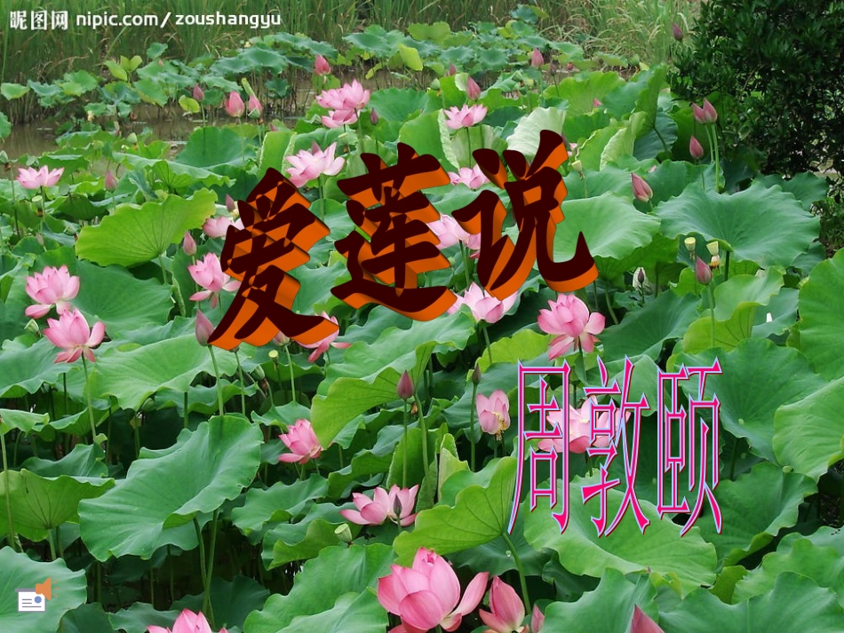 《短文两篇：爱莲说》课件_第1页