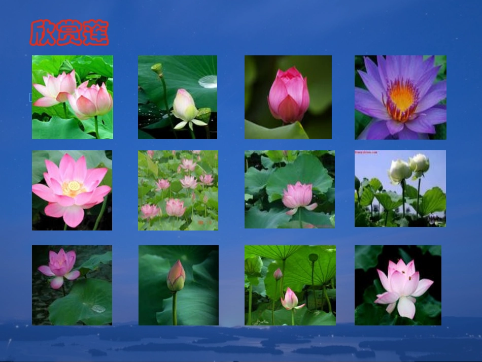 《短文两篇：爱莲说》课件_第2页