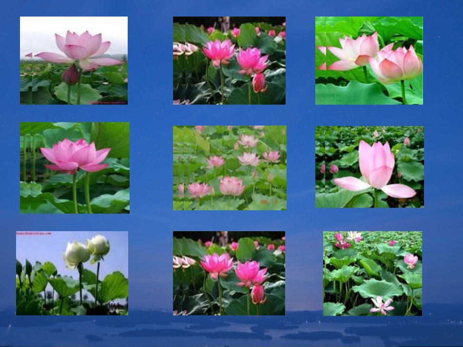 《短文两篇：爱莲说》课件_第3页