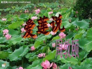 《短文两篇：爱莲说》课件