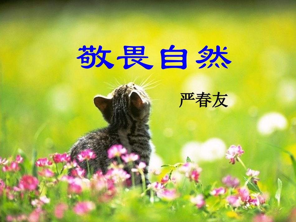 《敬畏自然》_第2页