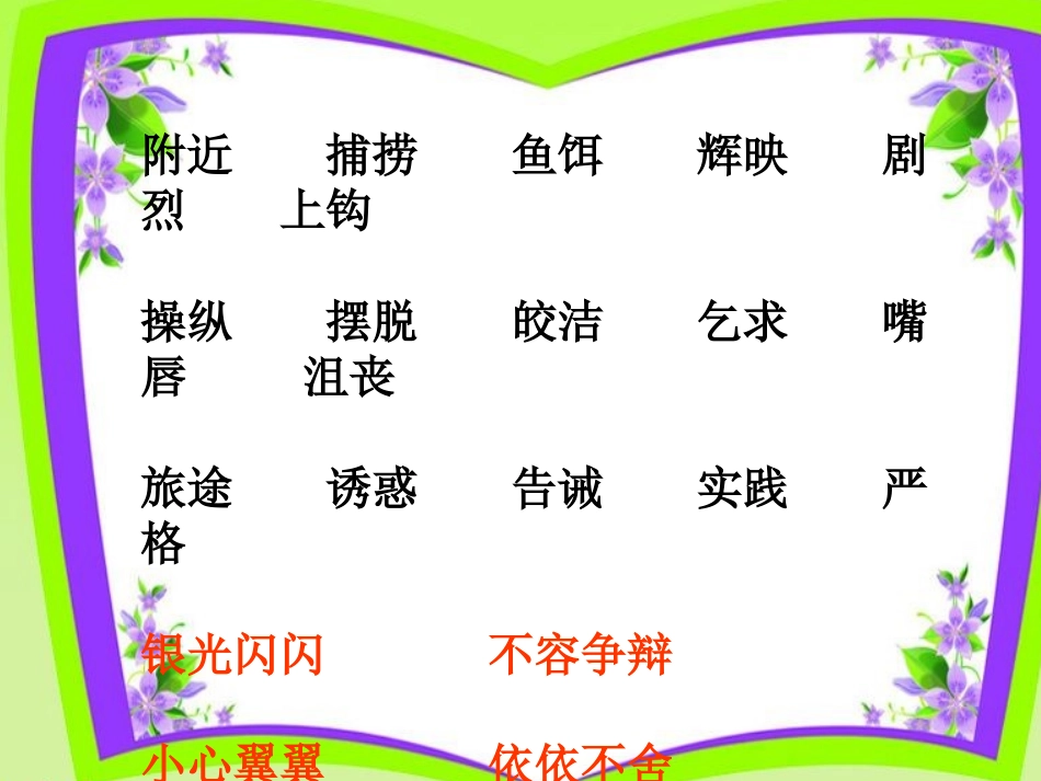 《钓鱼的启示》第一课时课件_第3页