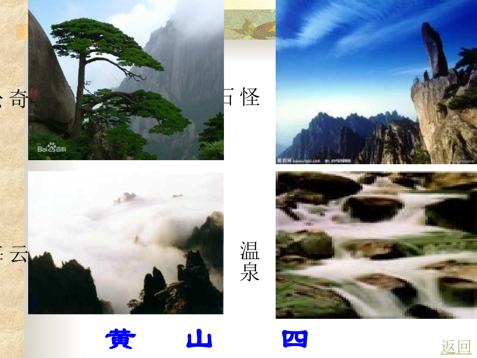 《黄山奇松》教学课件_第2页