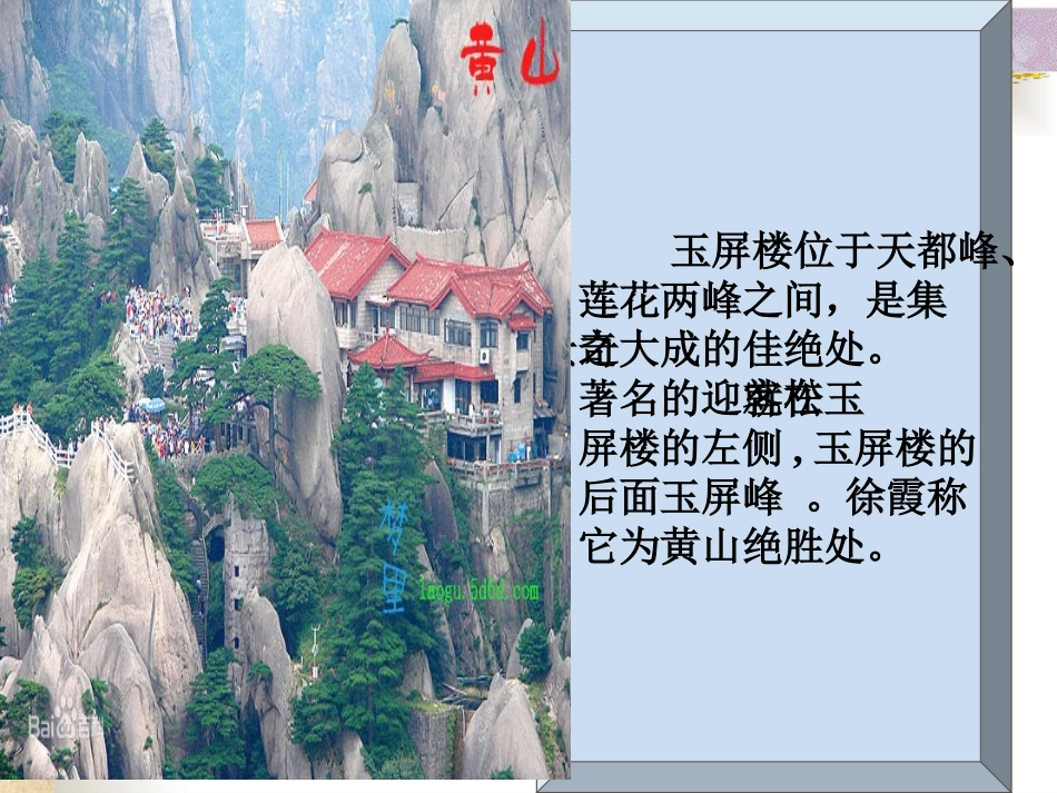 《黄山奇松》教学课件_第3页