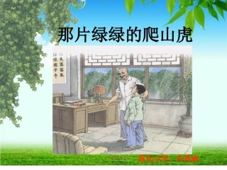 《那片绿绿的爬山虎》课件 (16)
