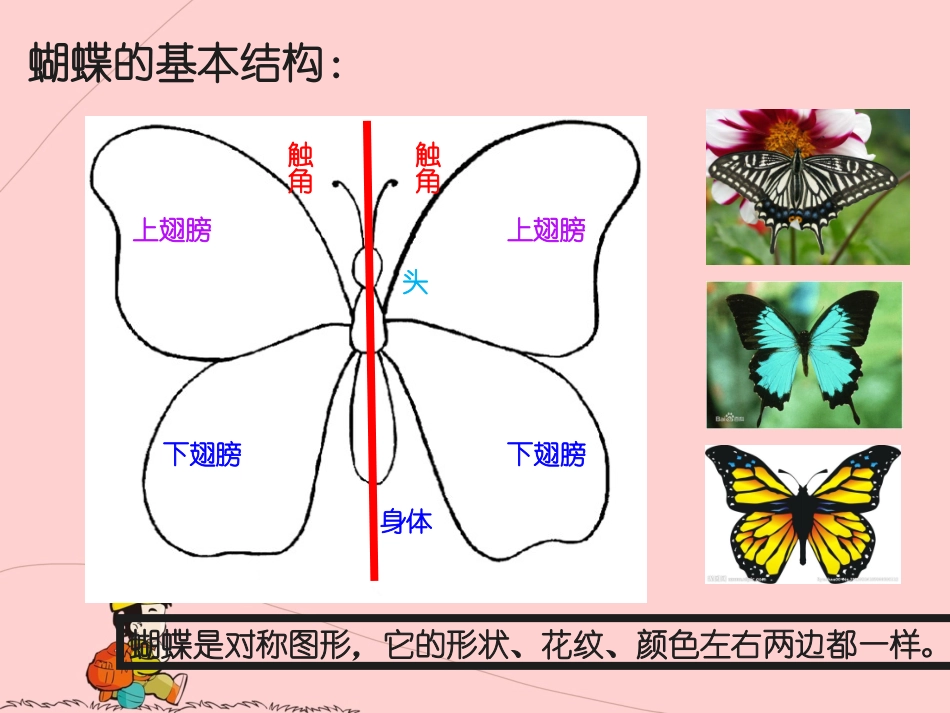 《折剪蝴蝶》PPT_第3页