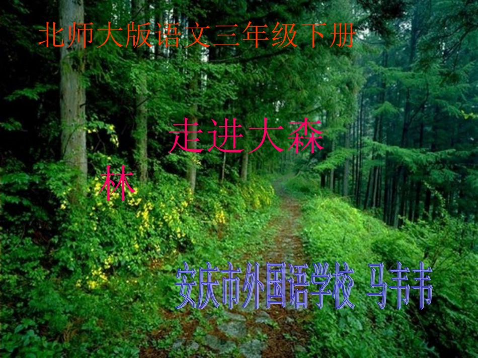 《走进大森林》PPT_第1页