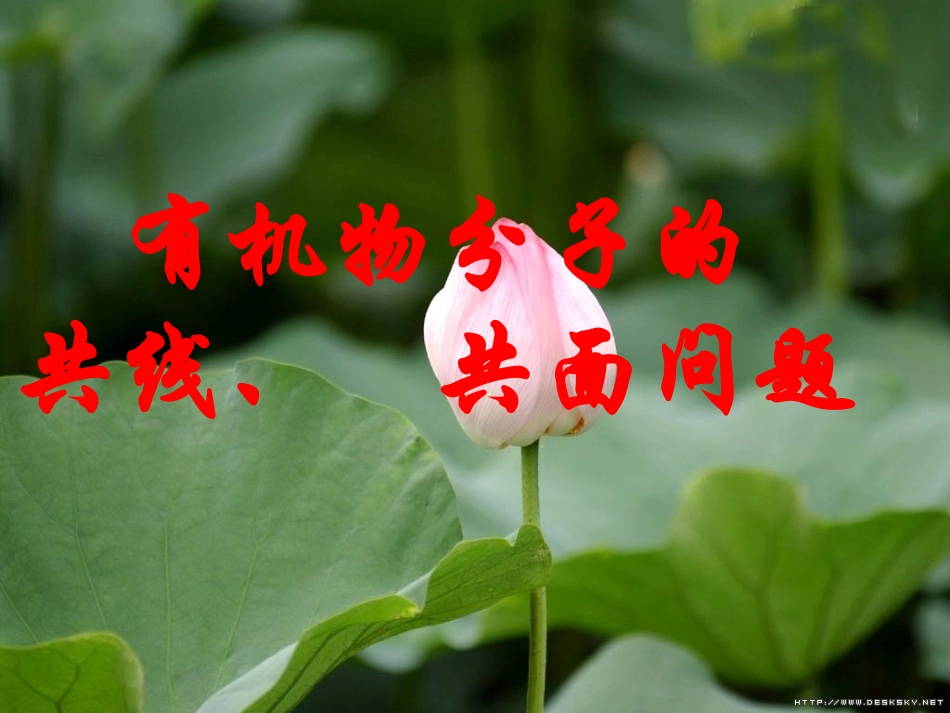 《第一章+第二节+共线共面问题探究》课件（共36张PPT）_第2页