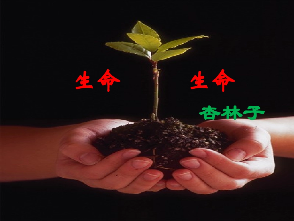 《生命__生命》教学课件1_第1页