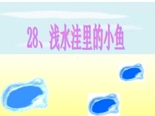 《浅水洼里的小鱼》 (2)