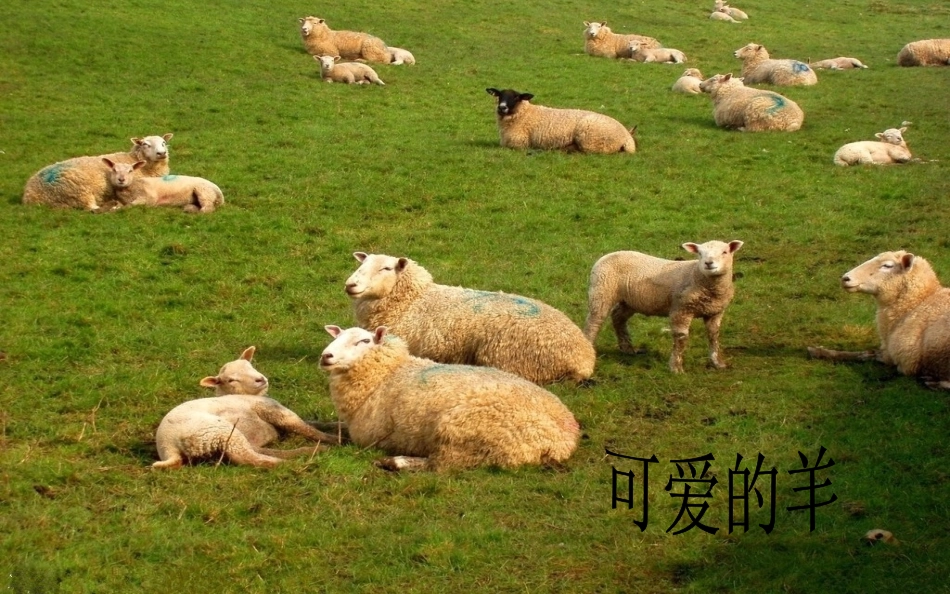 《那达慕之歌》课件_第3页