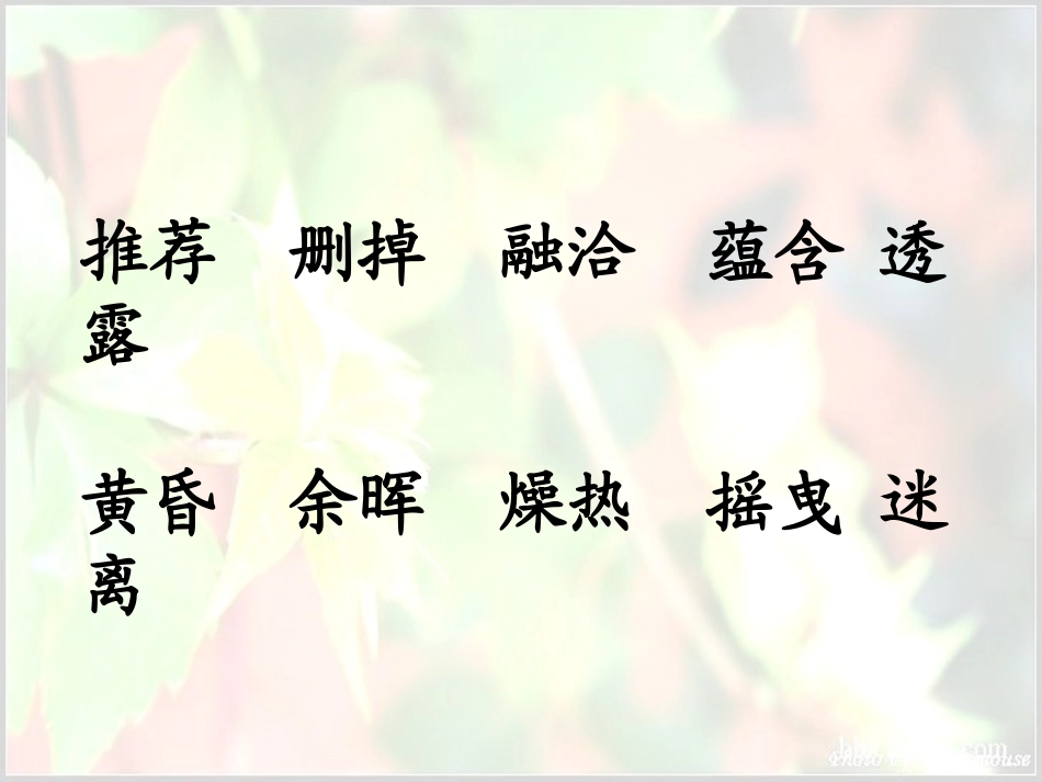 《那片绿绿的爬山虎》PPT课件_第3页