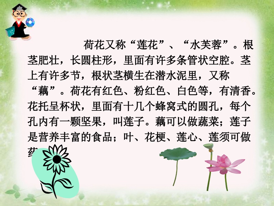 《荷花》教学课件段喜荣_第3页