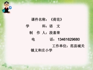 《荷花》教学课件段喜荣