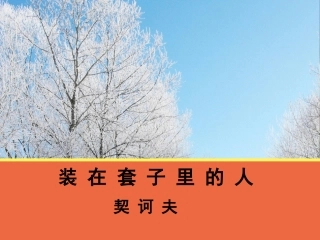 装在套子里的人
