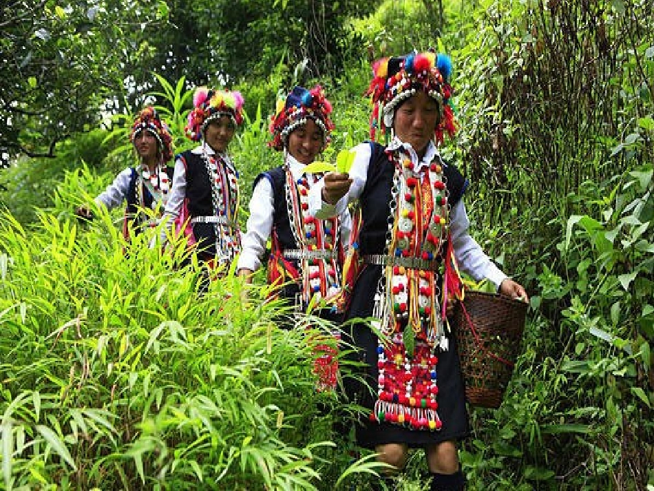 《跳呀，快来跳舞》课件3_第3页