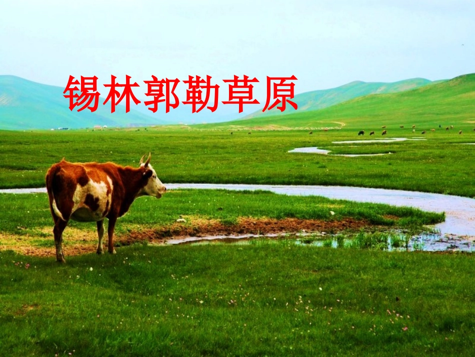 《锡林格勒草原》教学课件_第1页