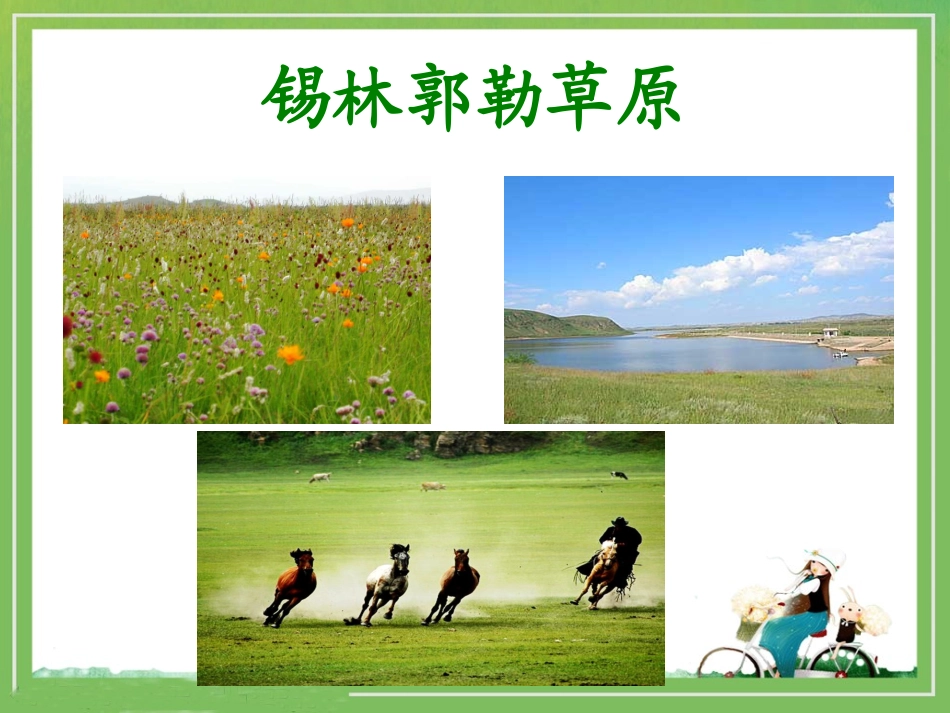 《锡林格勒草原》教学课件_第2页