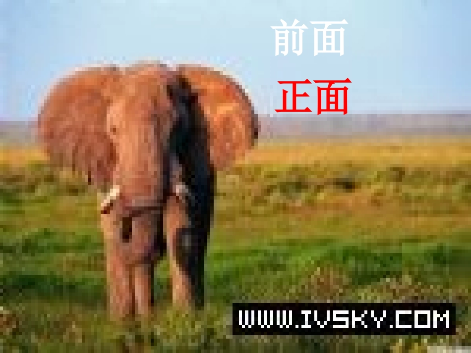 《观察物体》课件1_第2页