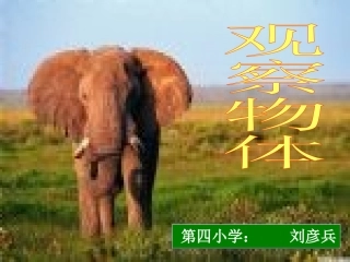《观察物体》课件1