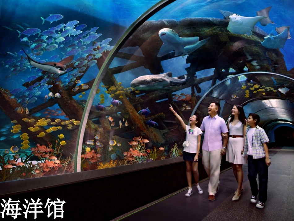 《有趣的海洋馆》课件_第2页