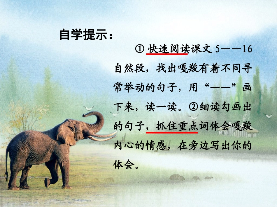 《最后一头战象》上课课件周兰_第3页