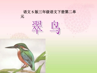《翠鸟》课件（语文S版三年级下册课件）-副本-副本-副本