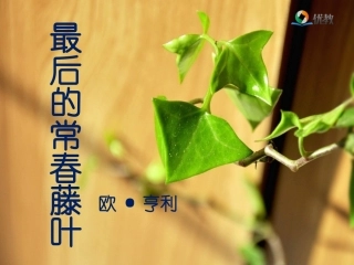 《最后的常春藤叶》优教课件（第二课时）