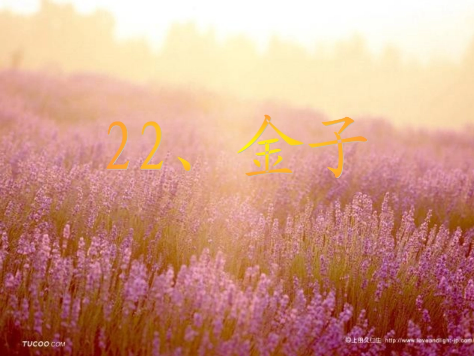 《金子》课件修改_2_第1页
