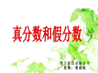 《真分数和假分数》课件