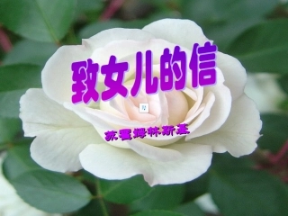 《给女儿的信》课件2