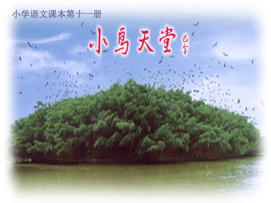 《鸟的天堂》_第1页