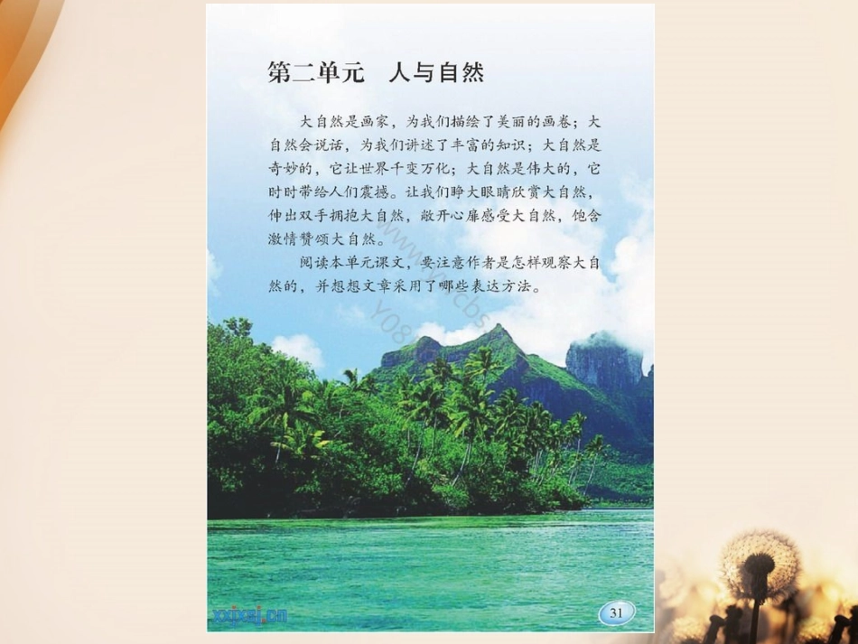 《西风胡杨》说课PPT_第3页