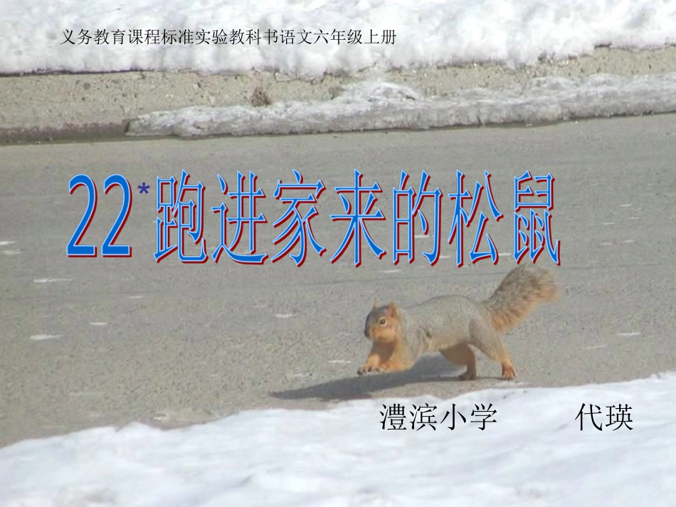 《跑进家来的松鼠》公开课88_第3页