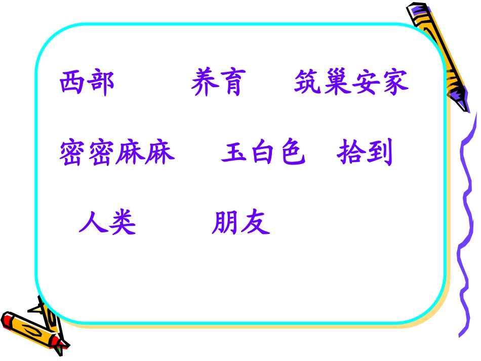 《鸟岛》PPT课件_第3页