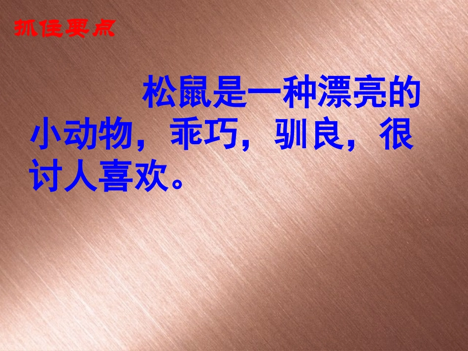 《松鼠》课件_第2页