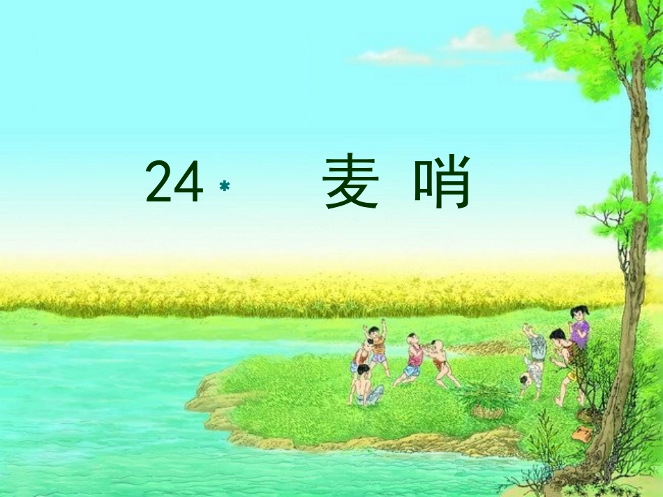 《麦哨》课件 (2)_第1页